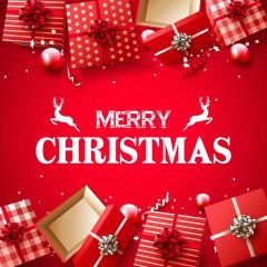 Christmas Presents Deer Photography Scenery Backdrop Christmas Theme Banner IYC-333