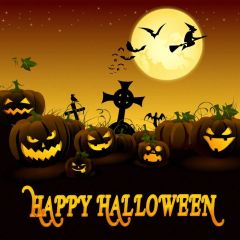Terror Pumpkin Latern Moon Bat Photography Scenery Backdrop Halloween Theme Banner IYC-342
