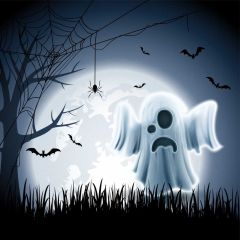 Moon Tree Grass Bat Photography Scenery Backdrop Halloween Theme Banner IYC-359