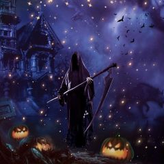 Scarecrow Latern Star Castle Bat Photography Scenery Backdrop Halloween Theme Banner IYC-364