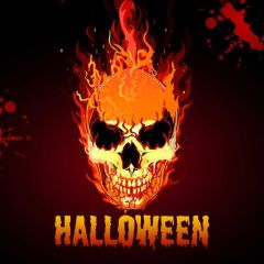 Skull Fire Blood Photography Scenery Backdrop Halloween Theme Banner IYC-375