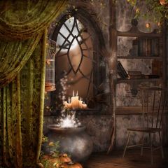 Lantern Curtain Window Birdcage Photography Scenery Backdrop Halloween Theme Banner IYC-384