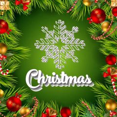 Christmas Ball Grass Present Photography Scenery Backdrop Christmas Theme Banner IYC-389