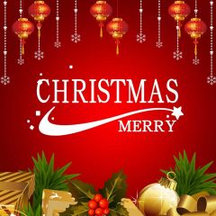 Christmas Ball Plant Photography Scenery Backdrop Christmas Theme Banner IYC-394