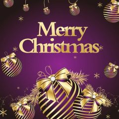 Merry Christmas Present Ball Photography Scenery Backdrop Christmas Theme Banner IYC-403