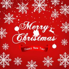 Merry Christmas Snowflake Banner Photography Scenery Backdrop Christmas Theme Banner IYC-405