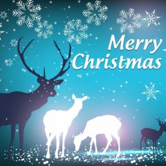 Deer Snowflake Green Christmas Photography Scenery Backdrop Christmas Theme Banner IYC-409