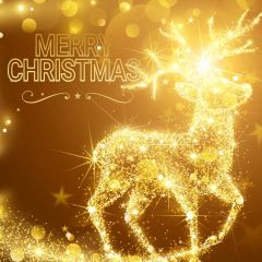 Deer Christmas Bubble Sunshine Photography Scenery Backdrop Christmas Theme Banner IYC-415