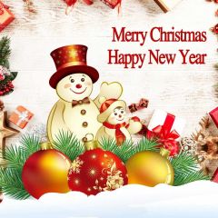 Christmas New Year Snowman Ball Grass Photography Scenery Backdrop Festival Celebration Theme Banner IYC-425