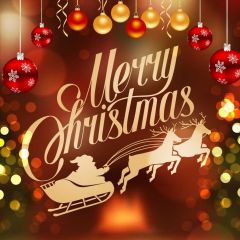 Christmas Fire Ball Tree Bubble Photography Scenery Backdrop Christmas Theme Banner IYC-429