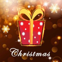 Christmas Present Snowflake Bubble Photography Scenery Backdrop Christmas Theme Banner IYC-431