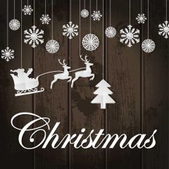 Christmas Wall Snowflake Deer Carriage Photography Scenery Backdrop Christmas Theme Banner IYC-433