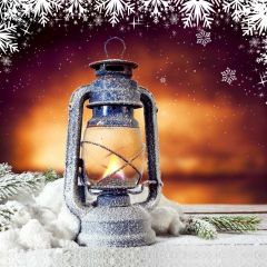 Light Fire Snow Plant Photography Scenery Backdrop Christmas Theme Banner IYC-437