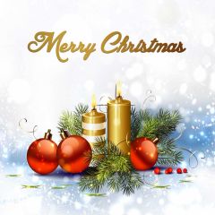 Christmas Ball Candle Plant Snow Photography Scenery Backdrop Christmas Theme Banner IYC-442