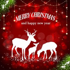 Deer Bubble Plant Christmas Photography Scenery Backdrop Christmas Theme Banner IYC-443