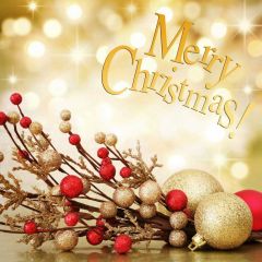 Christmas Flower Bubble Photography Scenery Backdrop Christmas Theme Banner IYC-444