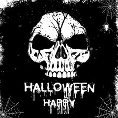 Skull Spiderweb Black Gloomy Photography Scenery Backdrop Halloween Theme Banner IYC-461