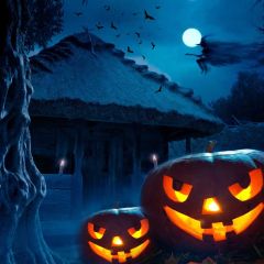 House Bat Pumpkin Lantern Moon Photography Scenery Backdrop Halloween Theme Banner IYC-465