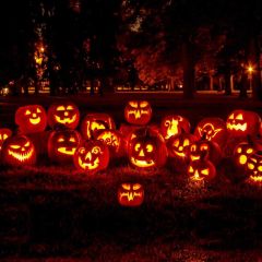 Lantern Tree Grass Night Photography Scenery Backdrop Halloween Theme Banner IYC-467