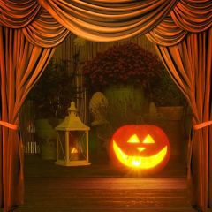 Lantern Curtain Flower Floor Photography Scenery Backdrop Halloween Theme Banner IYC-470