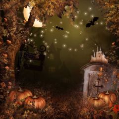 Tomb Tree Lantern Flower Photography Scenery Backdrop Halloween Theme Banner IYC-474