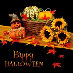 Halloween Flower Crown Basket Photography Scenery Backdrop Halloween Theme Banner IYC-476