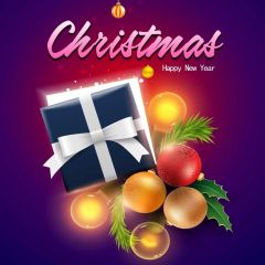 Presents Ball Leaves Photography Scenery Backdrop Christmas Theme Banner IYC-479