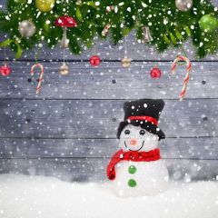 Snowman Wall Balloon Plant Photography Scenery Backdrop Christmas Theme Banner IYC-493