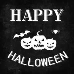 Lantern Halloween Balck Bulb Photography Scenery Backdrop Halloween Theme Banner IYC-499