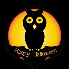 Owl Moon Halloween Black Photography Scenery Backdrop Halloween Theme Banner IYC-502