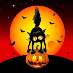 Moon Lantern Bat Cat Photography Scenery Backdrop Halloween Theme Banner IYC-505