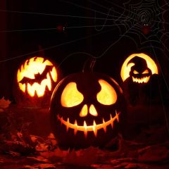 Lantern Leaves Spider Photography Scenery Backdrop Halloween Theme Banner IYC-510