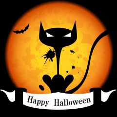 Moon Cat Bat Black Photography Scenery Backdrop Halloween Theme Banner IYC-513