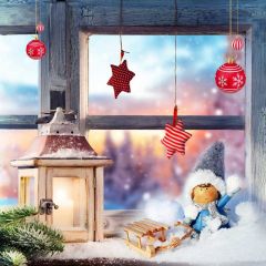 Window Light Snow Star Ball Photography Scenery Backdrop Christmas Theme Banner IYC-545