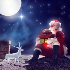Santa Claus Deer Moon Night Brick Photography Scenery Backdrop Christmas Theme Banner IYC-546