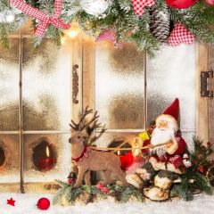 Santa Claus Plant Ball Heart Photography Scenery Backdrop Christmas Theme Banner IYC-550
