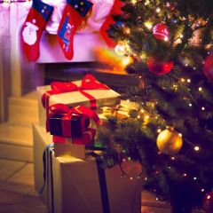 Present Sock Ball Plant Photography Scenery Backdrop Christmas Theme Banner IYC-552