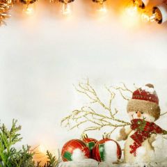 Snowman Ball Plant Bulb Photography Scenery Backdrop Christmas Theme Banner IYC-553