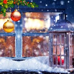 Ball Plant Snow Cage Bubble Photography Scenery Backdrop Christmas Theme Banner IYC-554