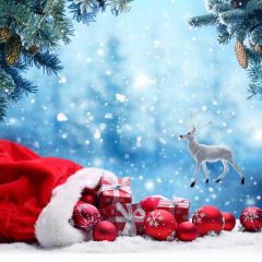 Cap Deer Snow Tree Ball Photography Scenery Backdrop Christmas Theme Banner IYC-561