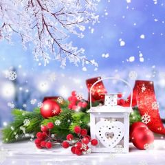 Tree Plant Ball Snow Photography Scenery Backdrop Christmas Theme Banner IYC-562
