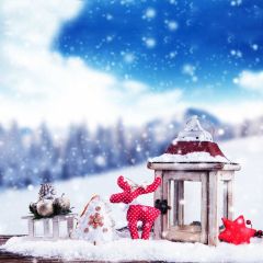 Snow Tree Desk Ball Photography Scenery Backdrop Christmas Theme Banner IYC-566