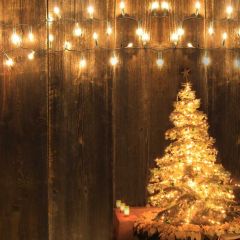 Tree Light Wood Wall Photography Scenery Backdrop Christmas Theme Banner IYC-568