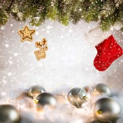 Ball Snow Sock Plant Photography Scenery Backdrop Christmas Theme Banner IYC-570