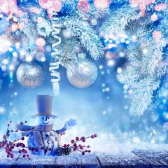 Ball Tree Snowman Flower Photography Scenery Backdrop Christmas Theme Banner IYC-574