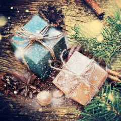 Present Leaves Sunshine Ball Photography Scenery Backdrop Christmas Theme Banner IYC-575