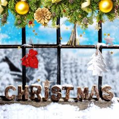 Window Plant Ball Snow Photography Scenery Backdrop Christmas Theme Banner IYC-583