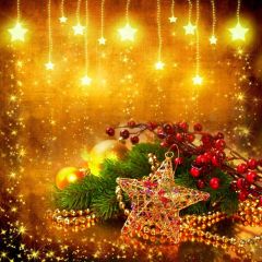 Plant Flower Star Light Photography Scenery Backdrop Christmas Theme Banner IYC-587