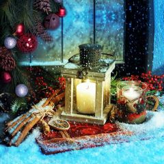 Candle Lemon Tree Window Photography Scenery Backdrop Christmas Theme Banner IYC-588