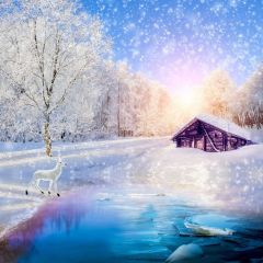 Deer Tree House River Photography Scenery Backdrop Christmas Theme Banner IYC-589